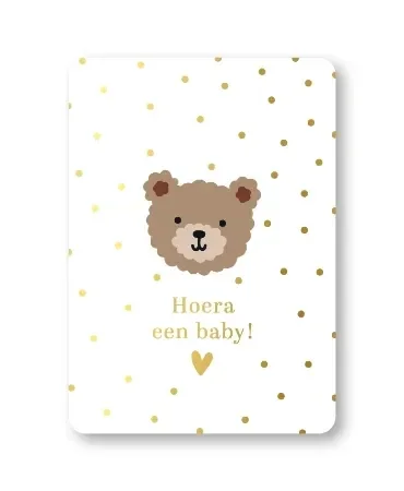 Hoera een baby! Little bear wit