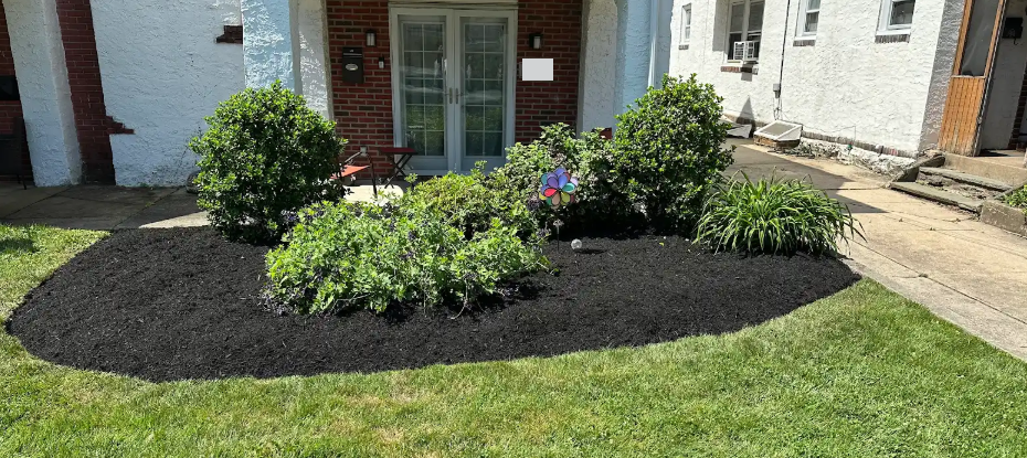 mulch-2-5-l-standard.png