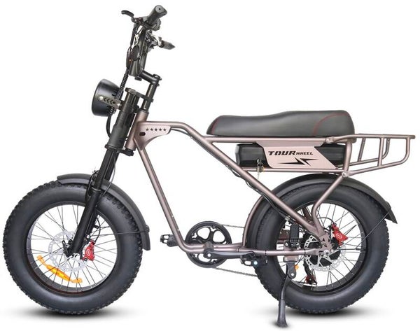 Tourwheel T3 Pro - Fatbike - 250W - 18.2Ah - Alarm - Coffee
