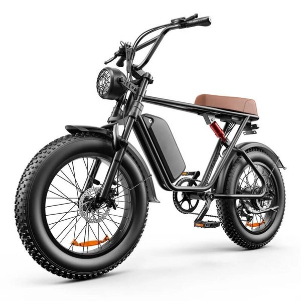 Matrix Ryder C91 - Fatbike - 250W - 17.5 Ah - Bruin