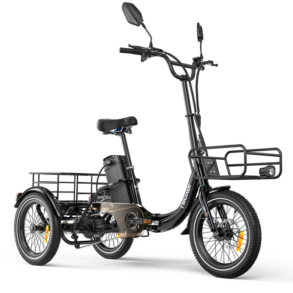 Cysum Niloxer KA1 - Cargo E Bike - Vrachtfiets - Elektrische Driewieler