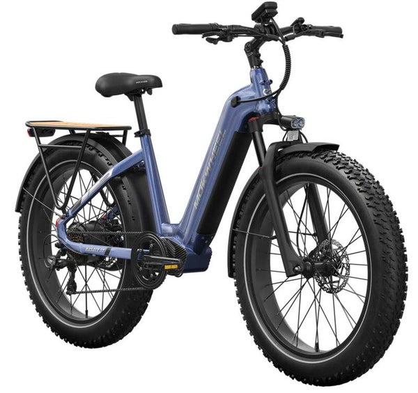 Mokwheel Basalt ST 2.0 - E MTB - Cargo E Bike - 26x4.0