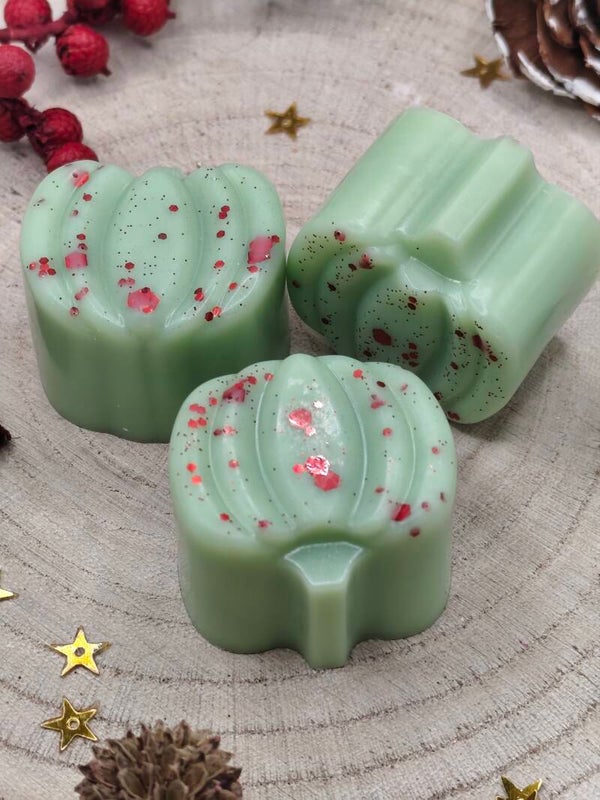 🌿🎄Fondant houx🌿🎄