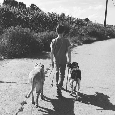 wandelen aan de leiband