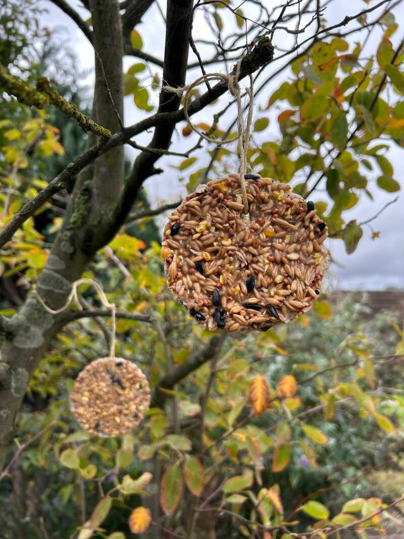 Kant-en-klare zelfgemaakte kussens