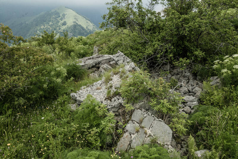 Dalla vegetazione affiorano i resti