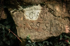 017a5824-standard.jpg