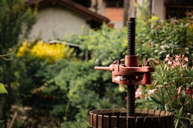 017a5866-standard.jpg