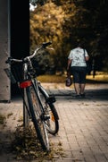 017a8843-standard.jpg