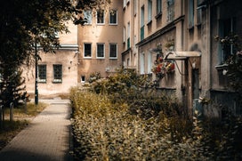 017a8865-standard.jpg