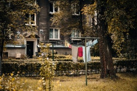 017a8897-standard.jpg