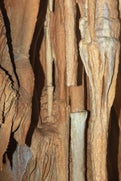 017a8949-standard.jpg