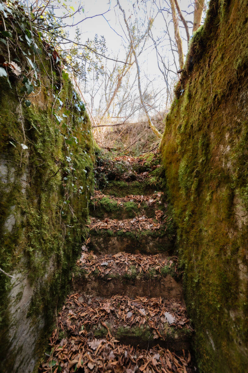 La scala interna della grotta di Mozci 