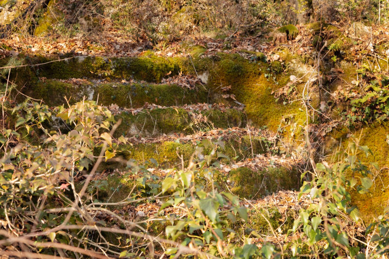 Particolare dei gradini dello scalone