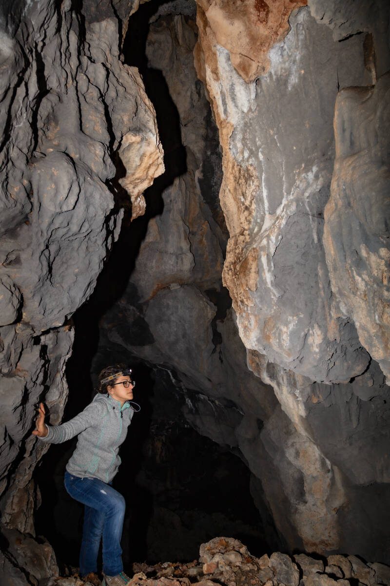 Interno grotta Mohorini 