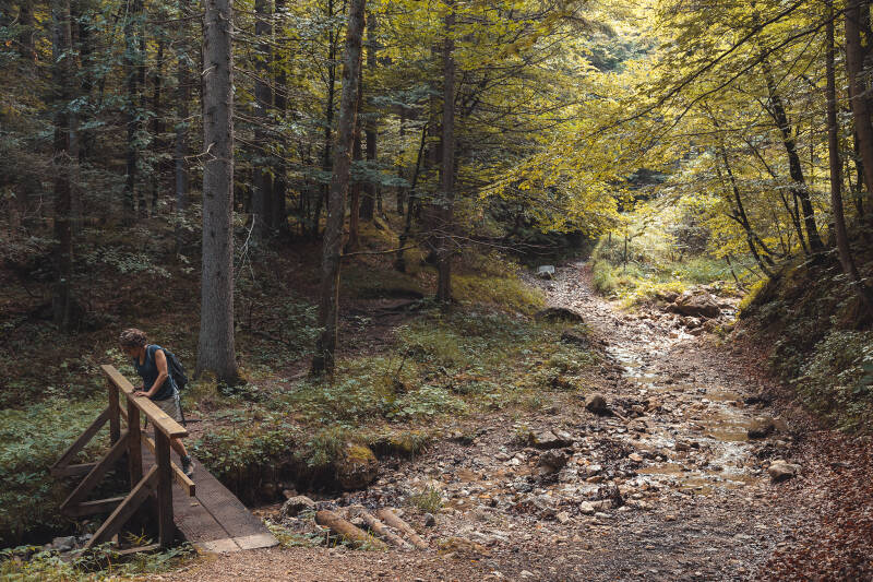 Uno dei due ponticelli 