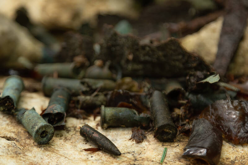 Bossoli che si trovano un po&#039; ovunque nei dintorni