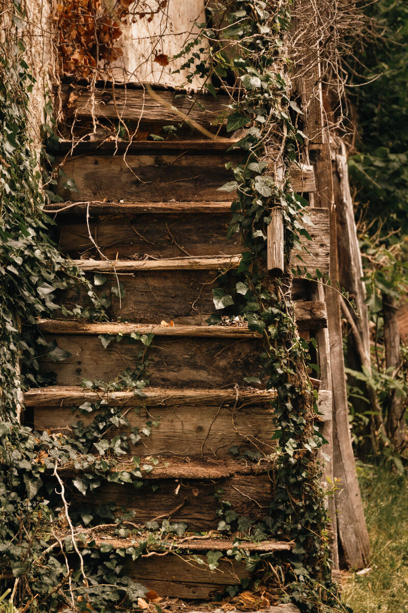 Selce, ne ha visto di passi questa scala