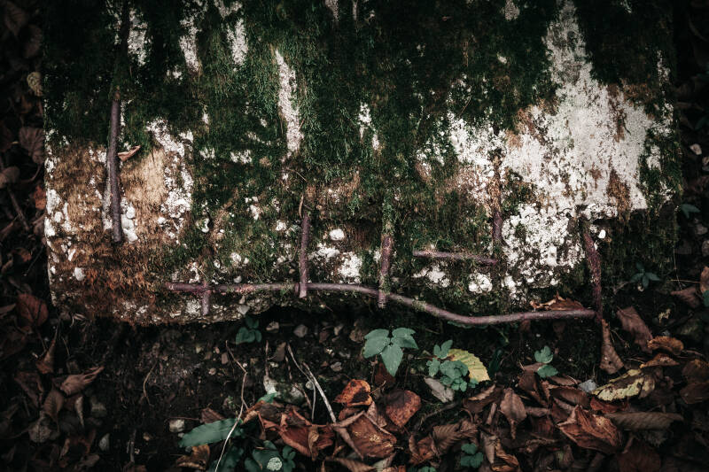 Ferri che arma anche i cementi