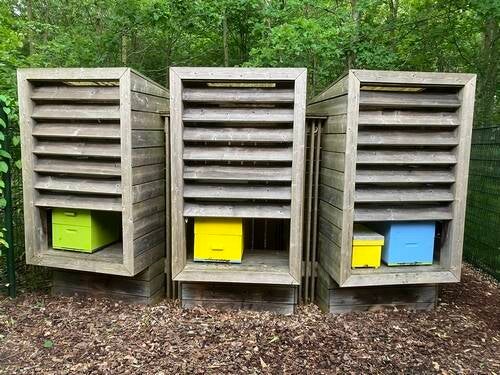 Onze bijen in de Vlinderhof