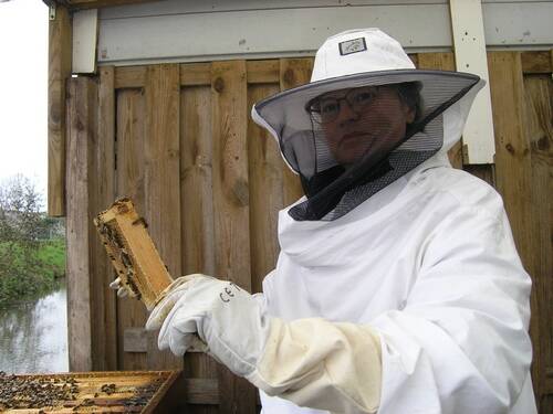 Ingvild werkt in de bijen