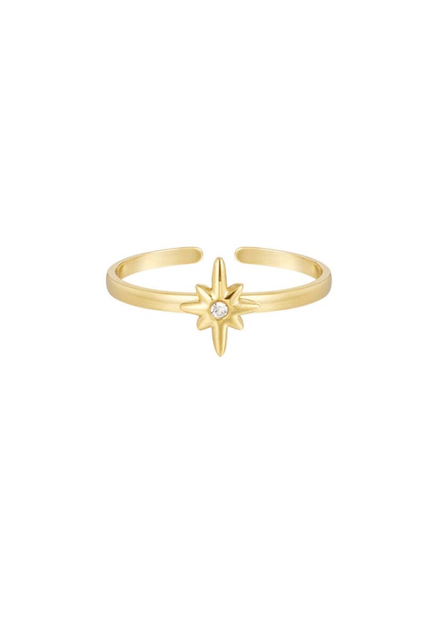 Ring Holy Star goud
