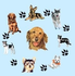EDUCACHIEN MOLAN