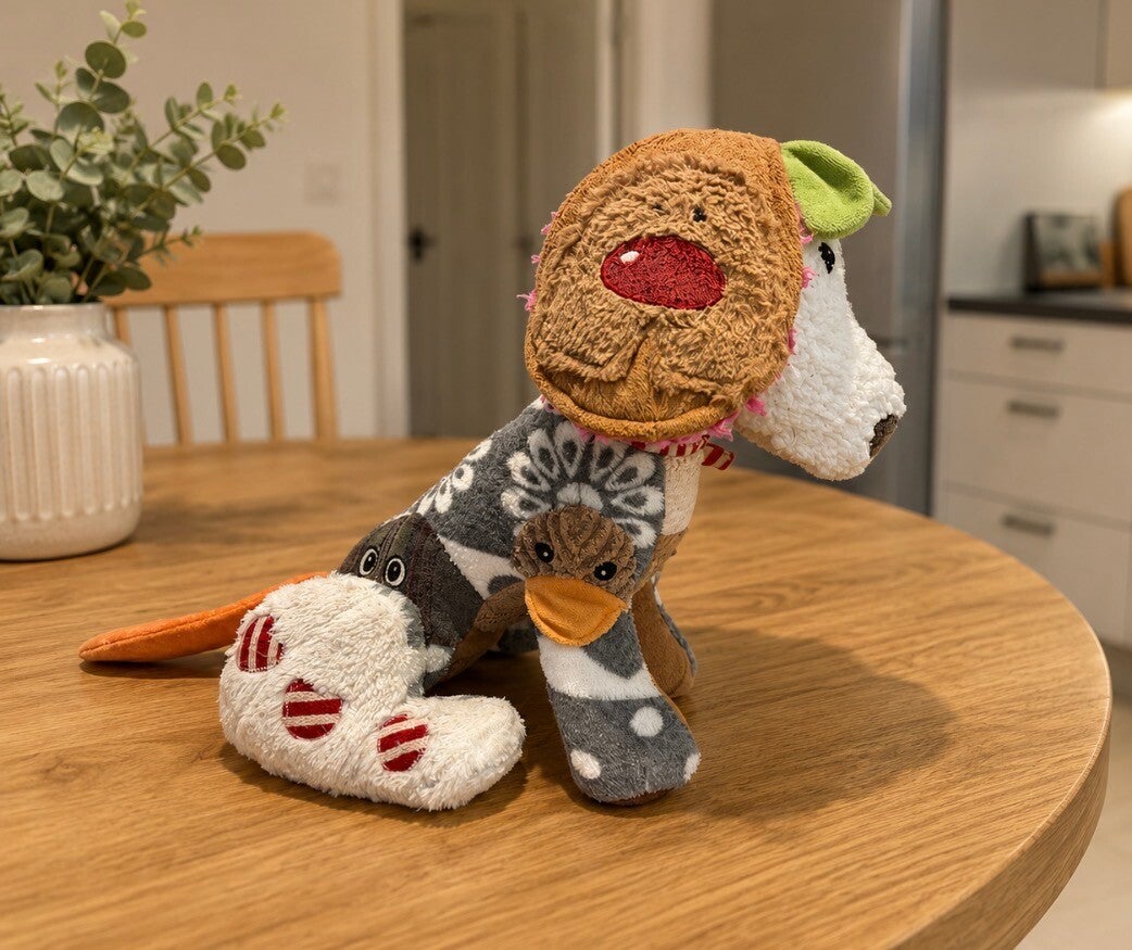 Darcy Dog