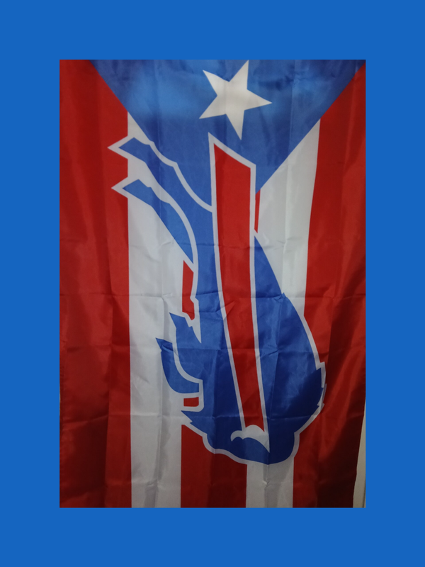 Buffalo Pride Puerto Rican Flag – NY Buffalo Mashup Banner