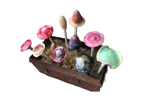 Workshop keramiek - Paddenstoelen (in een nieuw jasje)