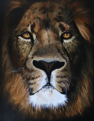 Jaafar lion drawing. Artist Daisy van der Zijden
