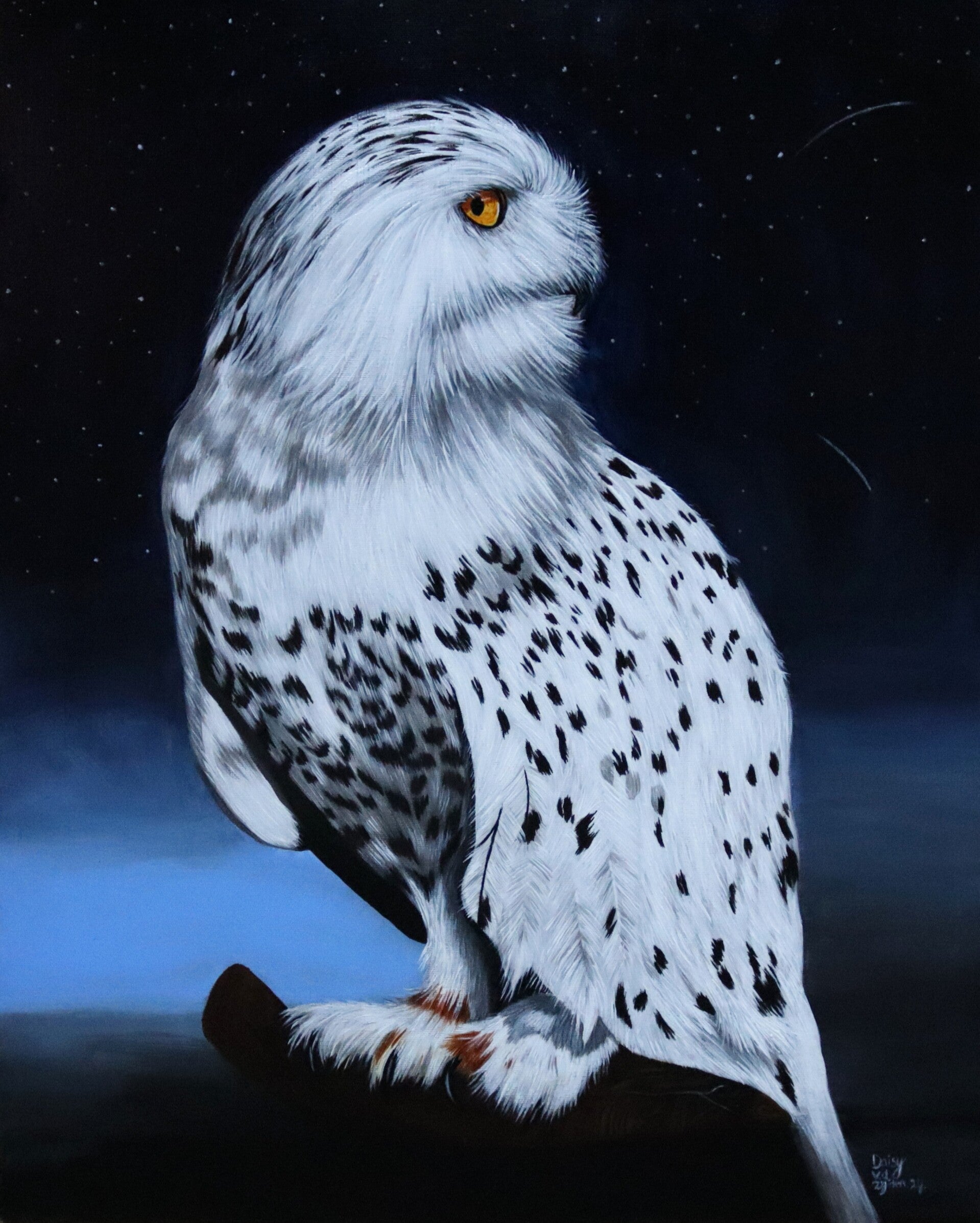 Art Prints by Daisy van der Zijden