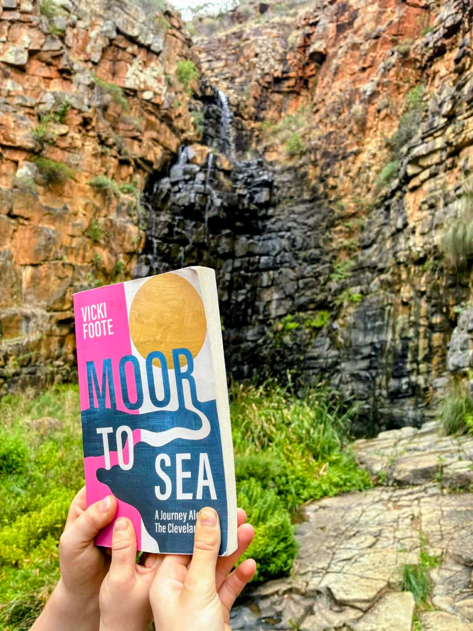 kids-at-morialta-standard.jpg