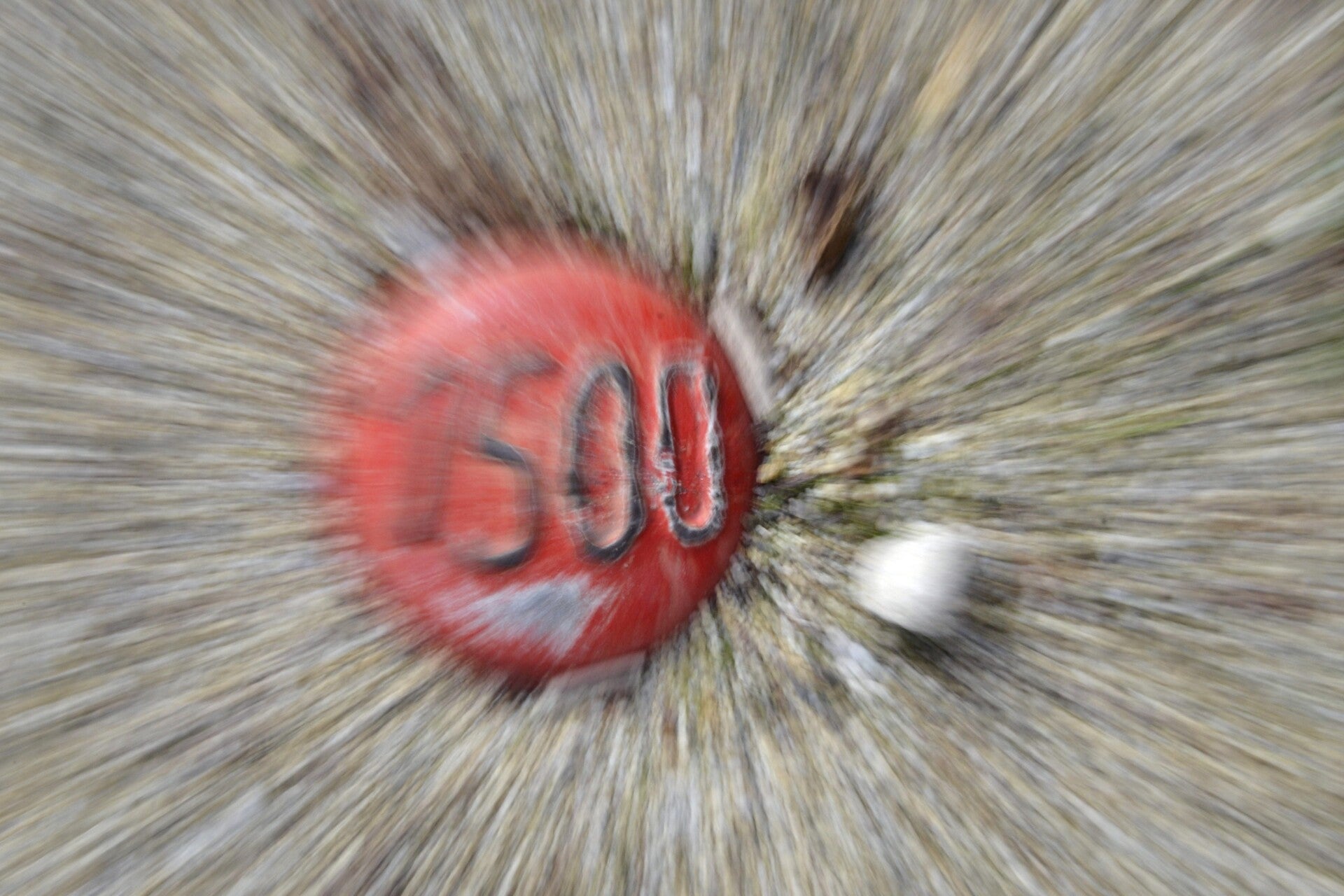 2-standard-q0b8zo.jpg