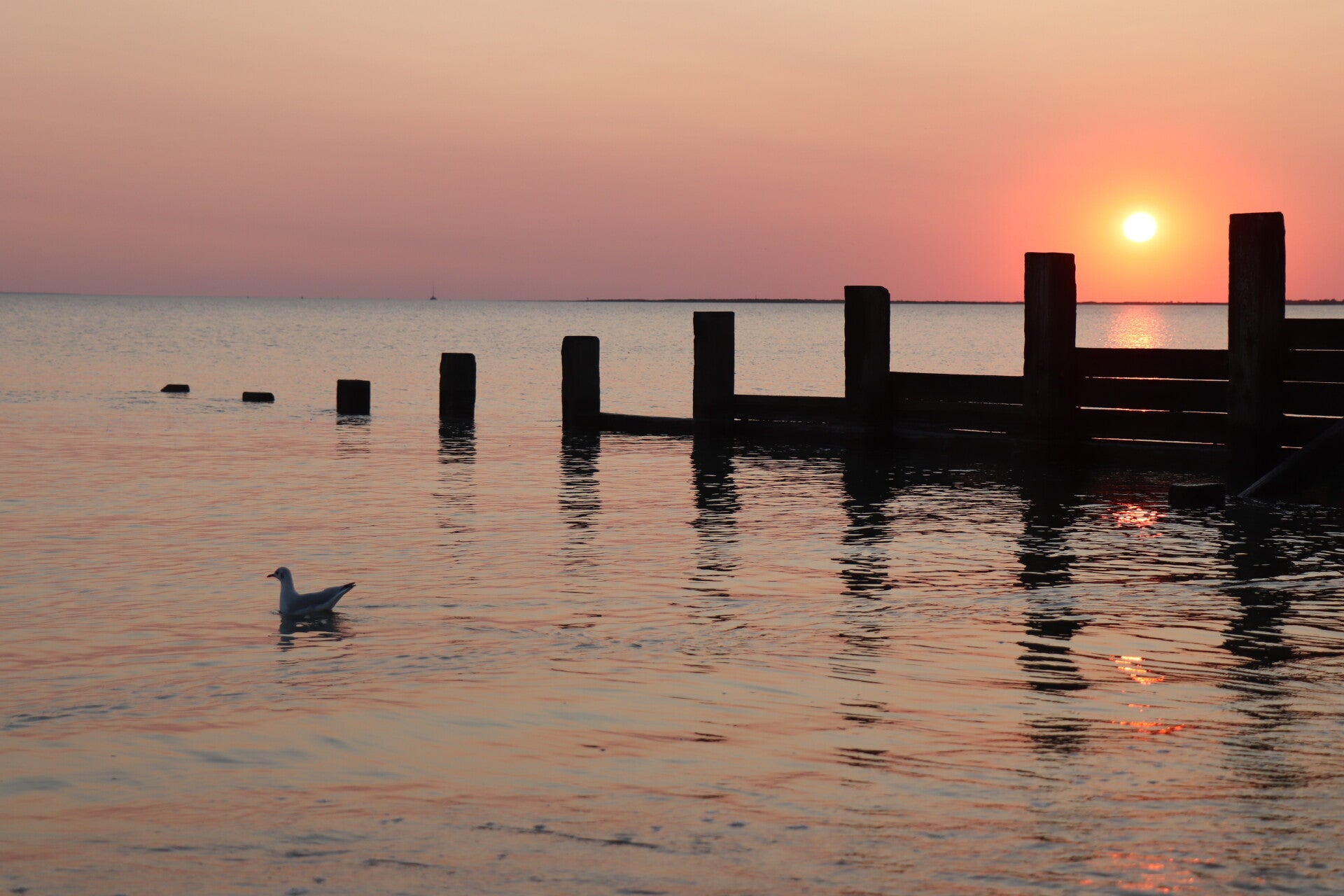 p-comme-paysage-ou-poteaux-standard-28hvkf.jpg