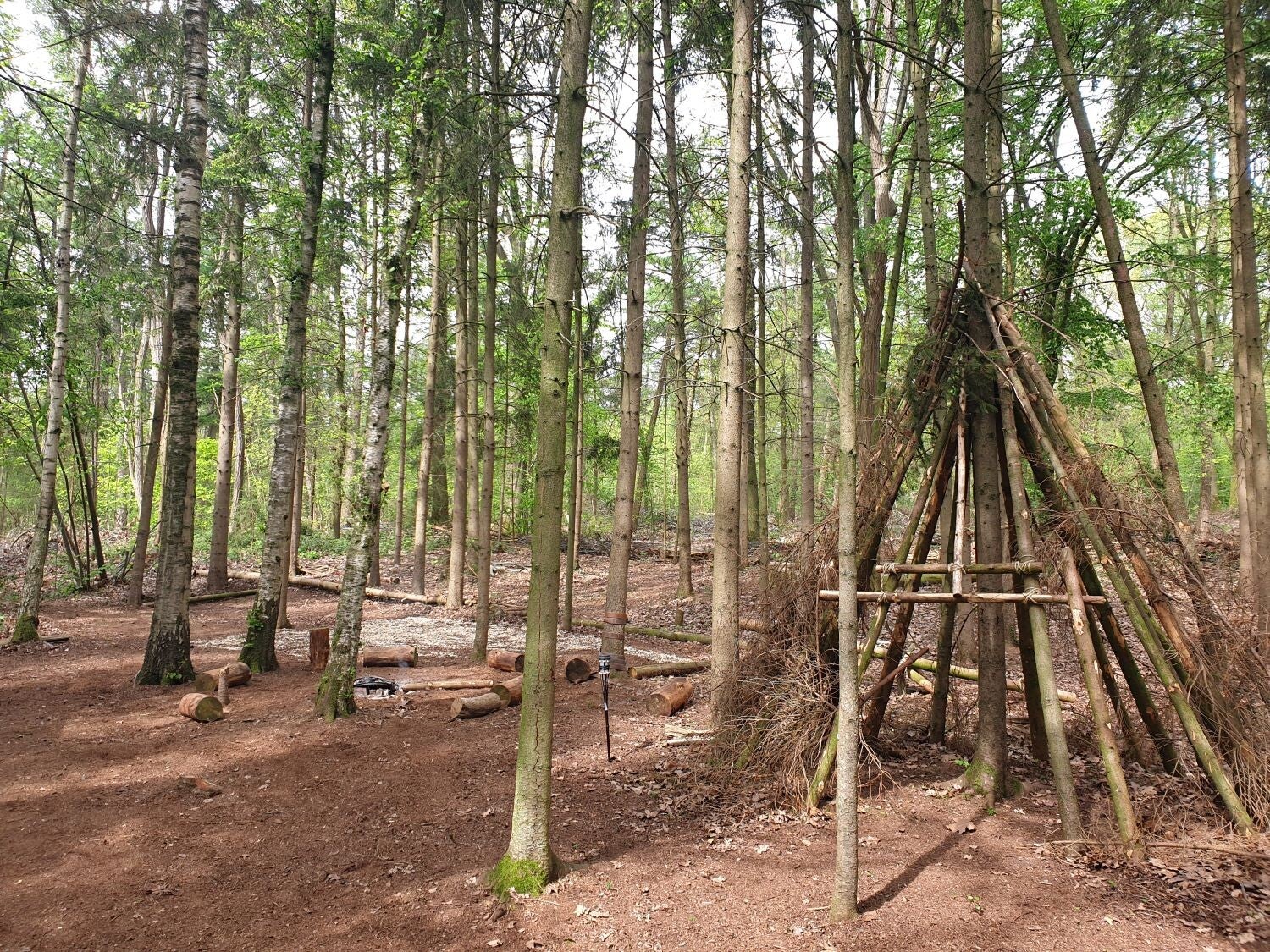 Building a hut