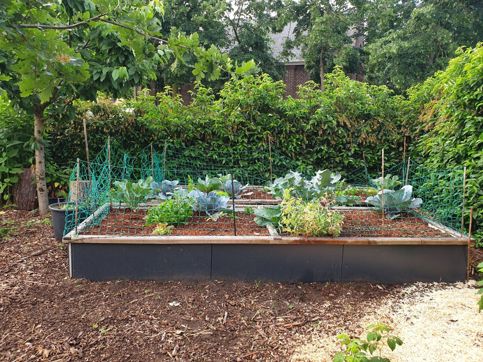 Garden beds