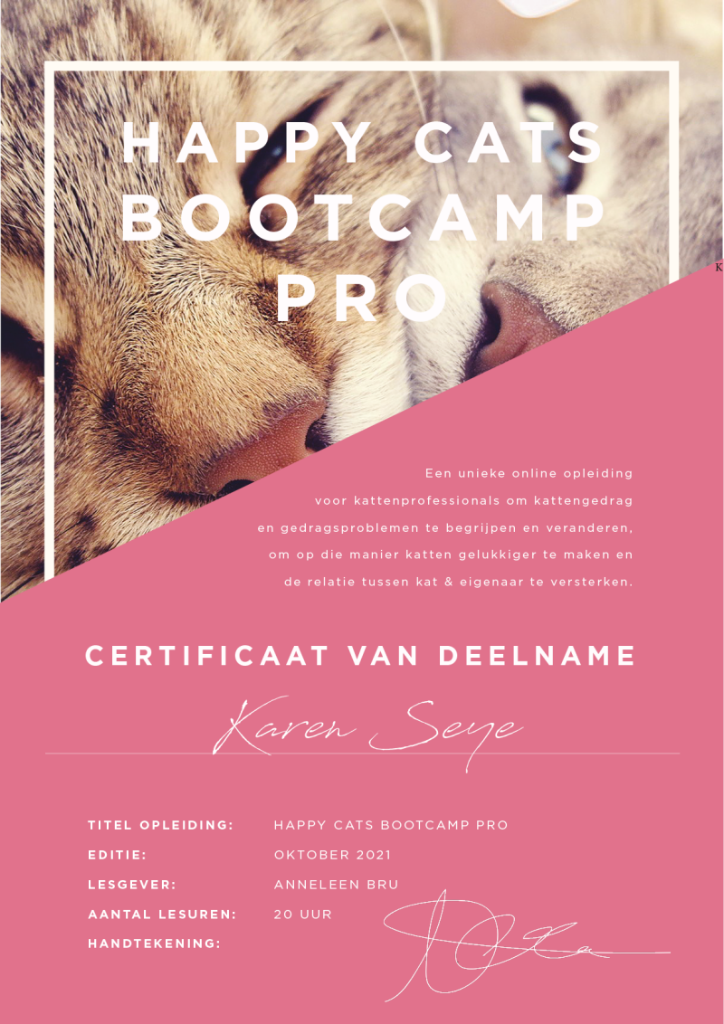 Certificaat Bootcamp Pro