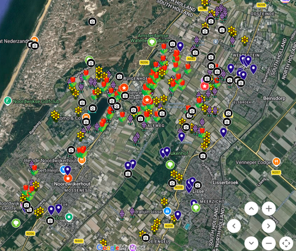Digital Flower Map 2026