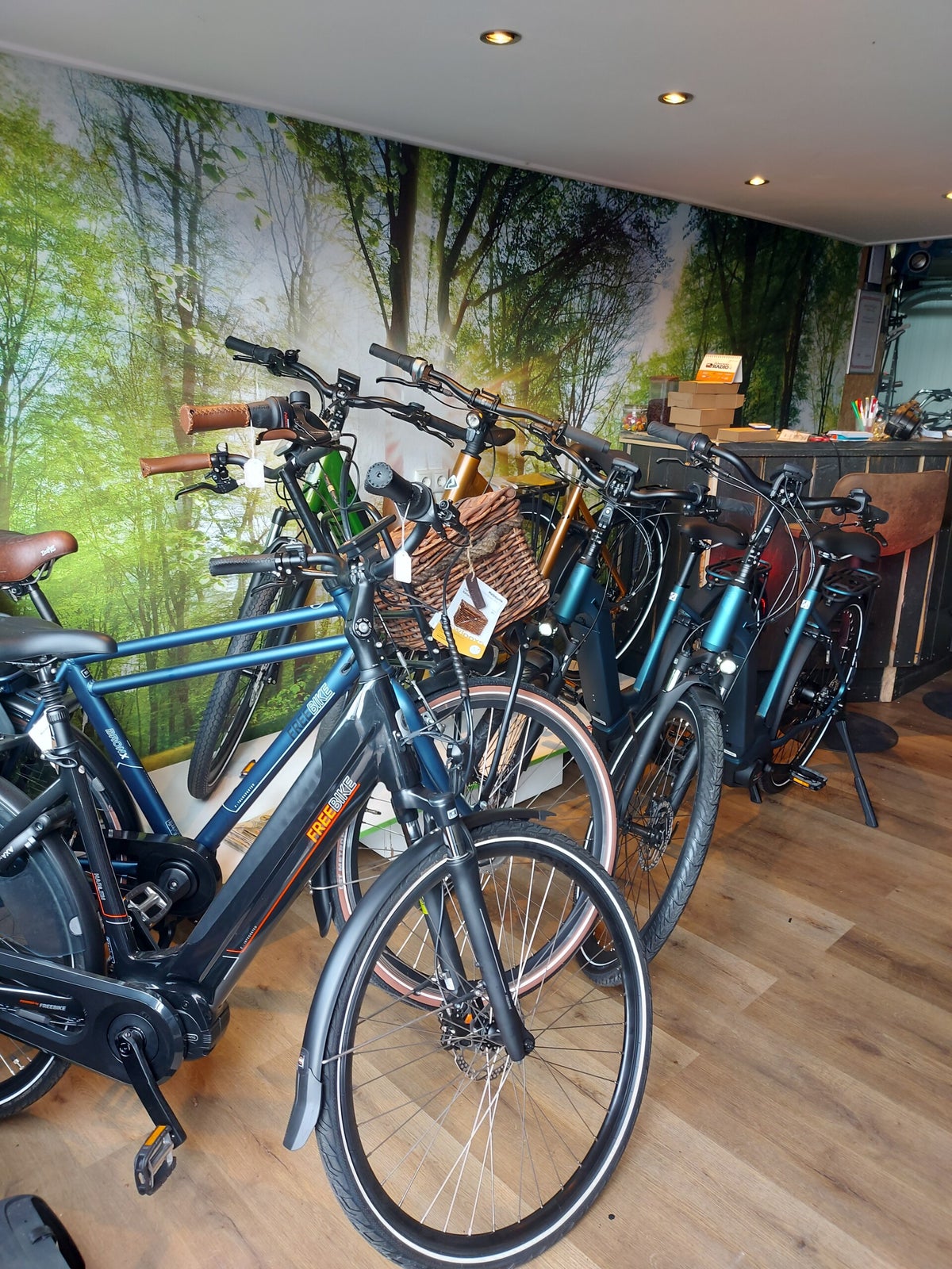 Fiets Service Dongjum