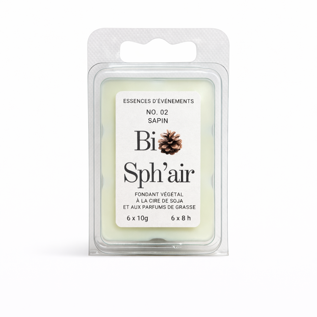 Lot de 6 fondants "NO. 02 : SAPIN"
