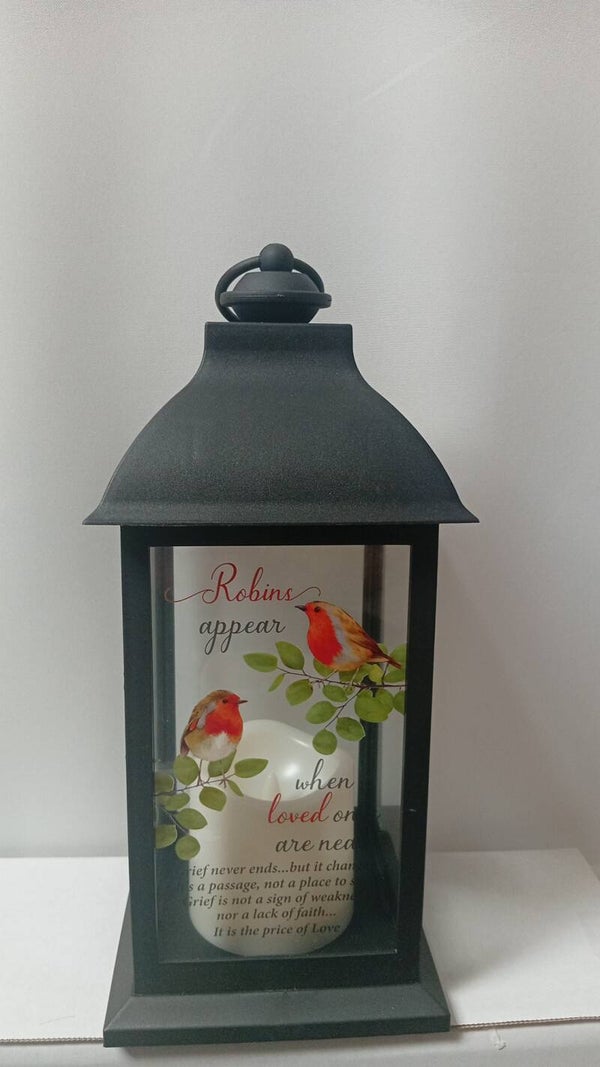 Large Robin light up latterns