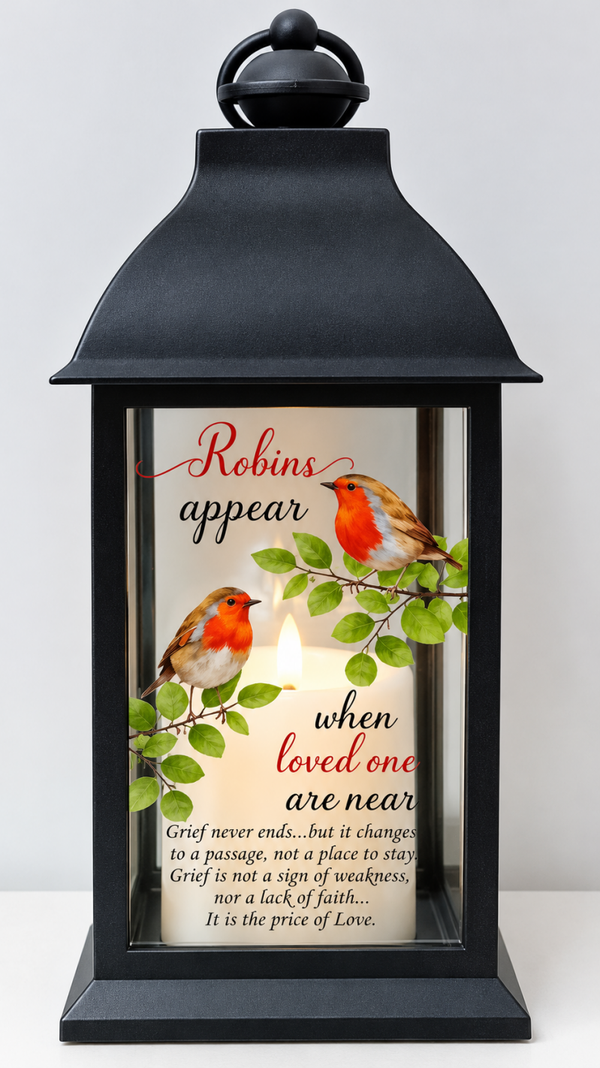 Robins appear large light up lantern