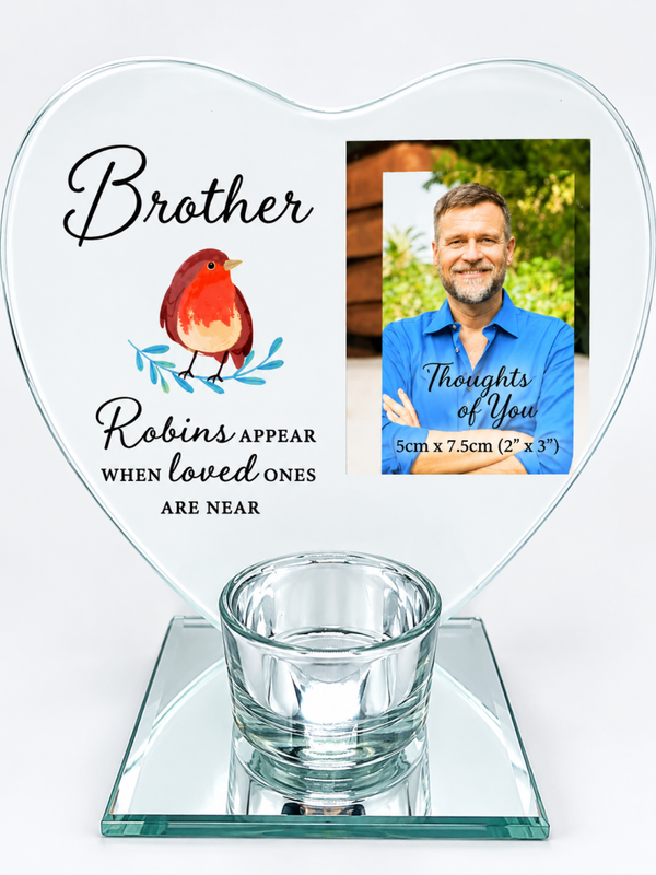 Brother tlight robin photo frame.