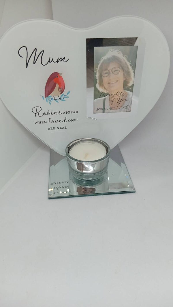 In Memory of Mum Robin frame