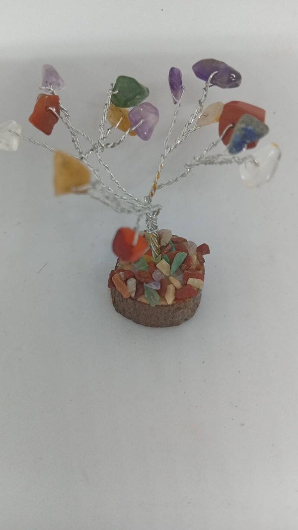 Mini chakara Tree