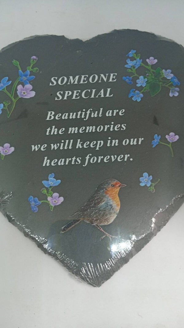 Someone special robin heart