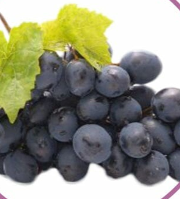 pitloze blauwe druiven