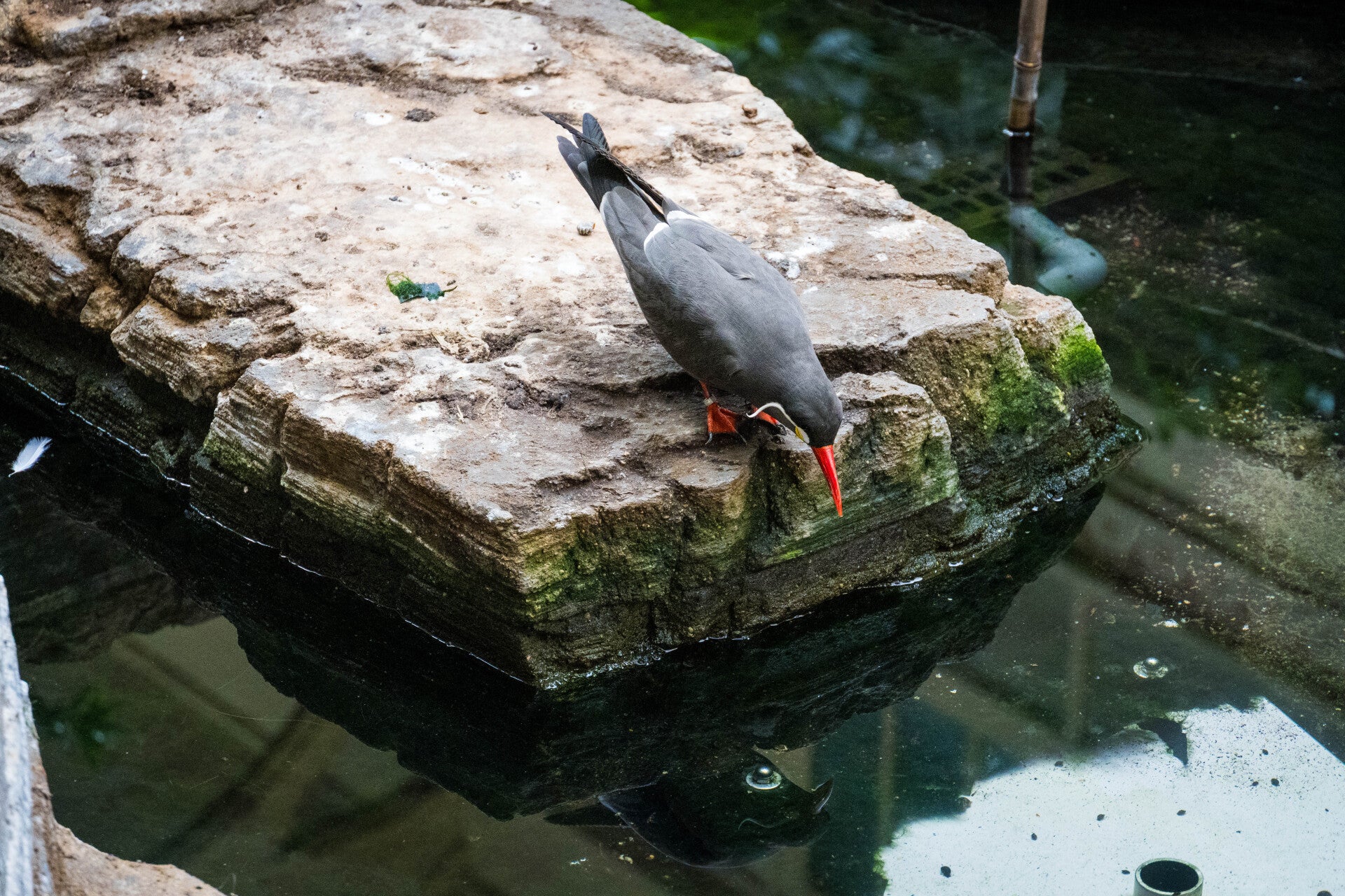 20260806-dsc03112-standard-1qbio0.jpg