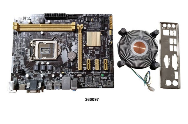 Mainboard - Asus H81M-Plus